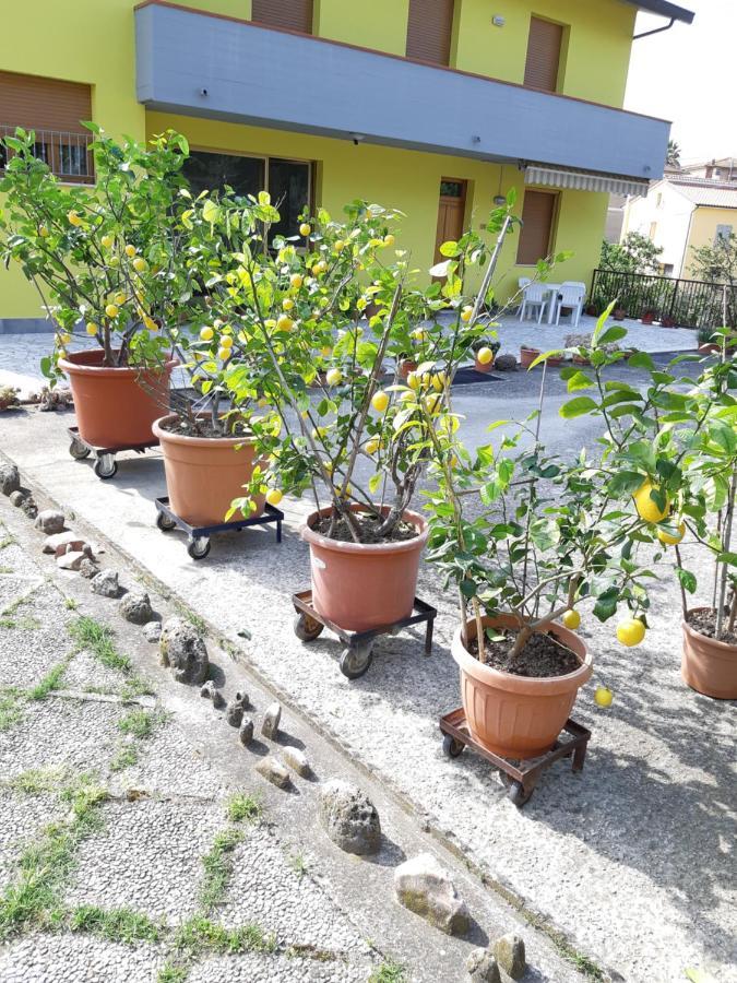 Villa Casa Gli Ulivi Montepulciano Stazione Esterno foto