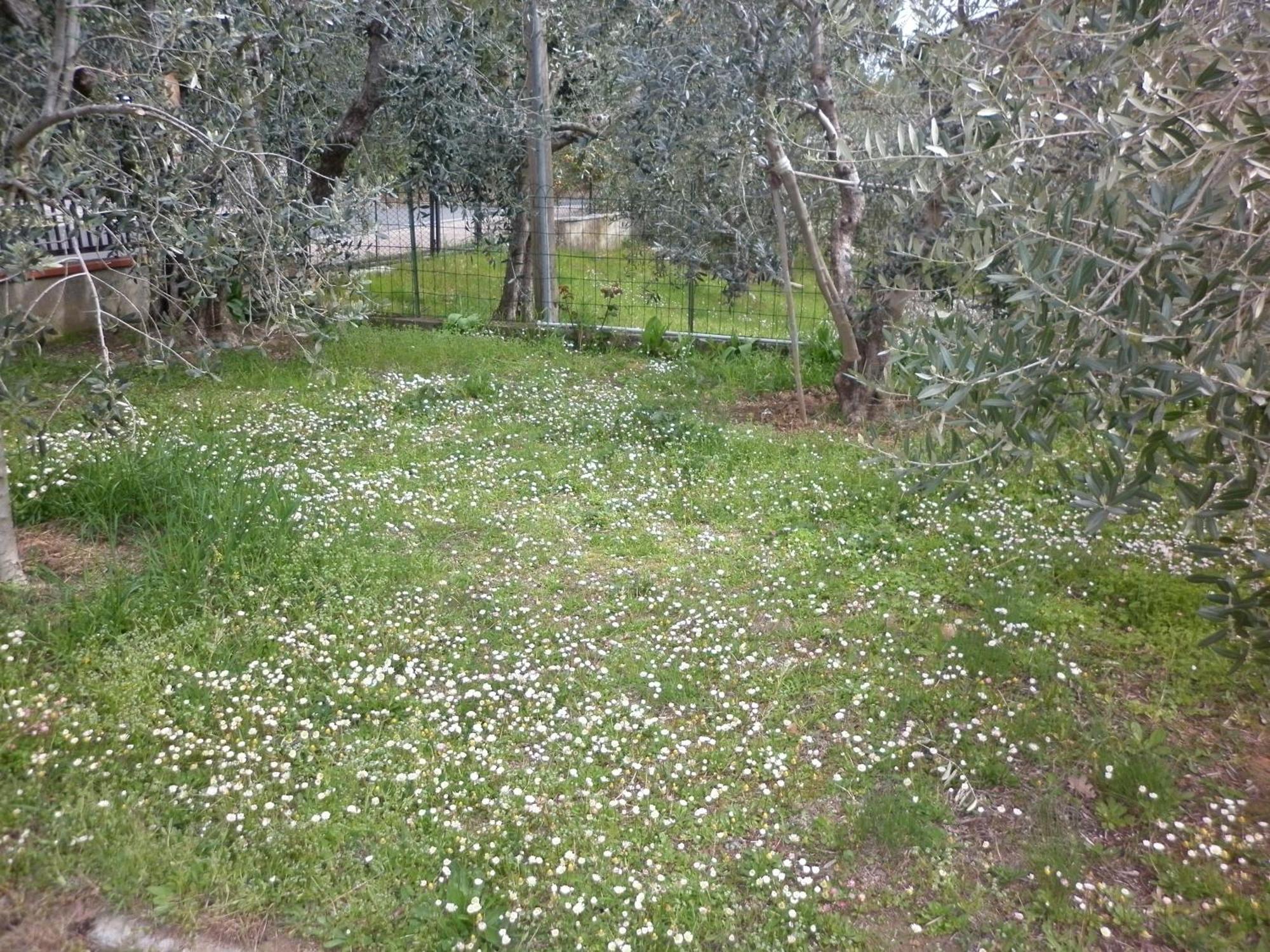 Villa Casa Gli Ulivi Montepulciano Stazione Esterno foto