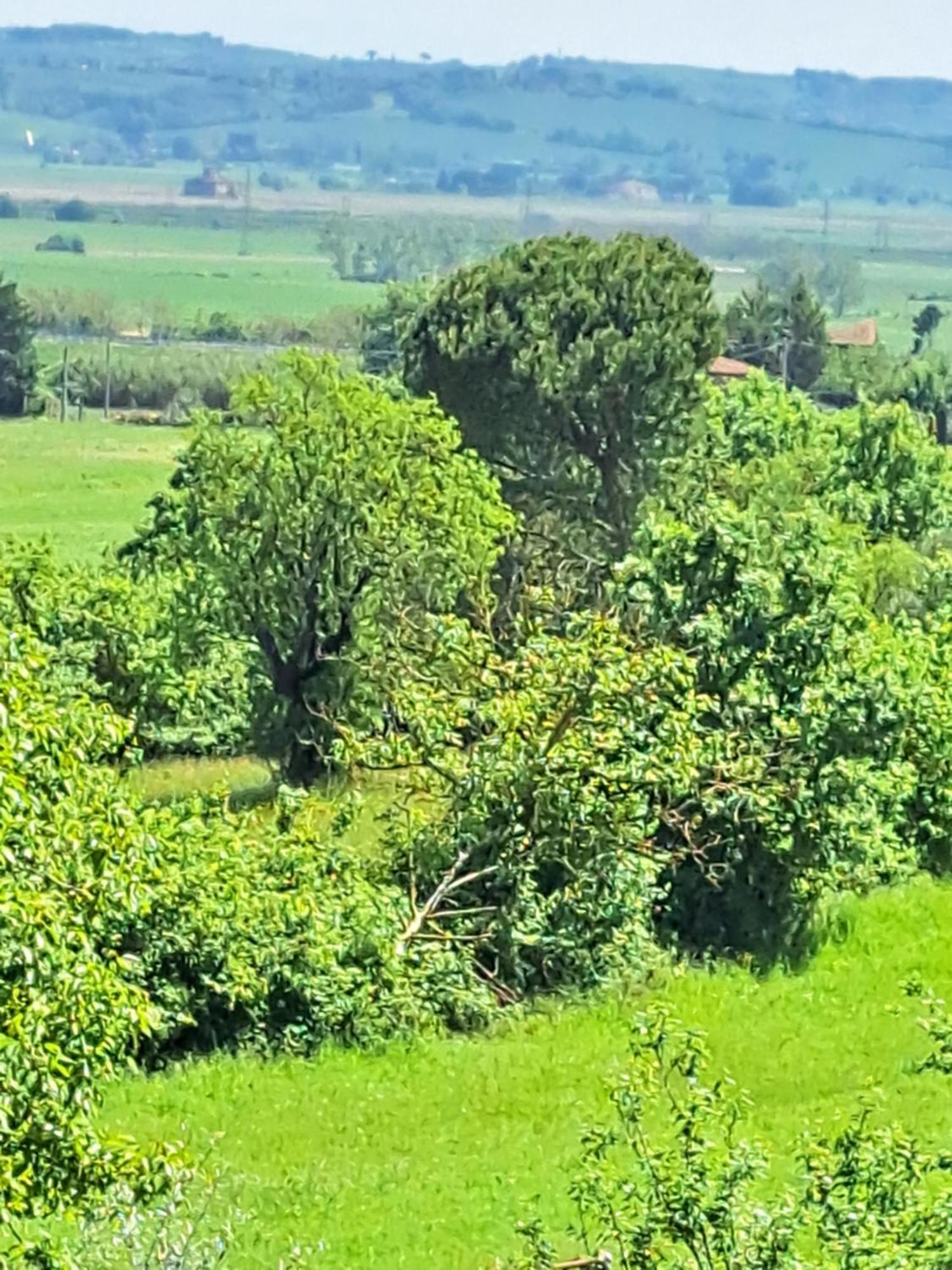 Villa Casa Gli Ulivi Montepulciano Stazione Esterno foto
