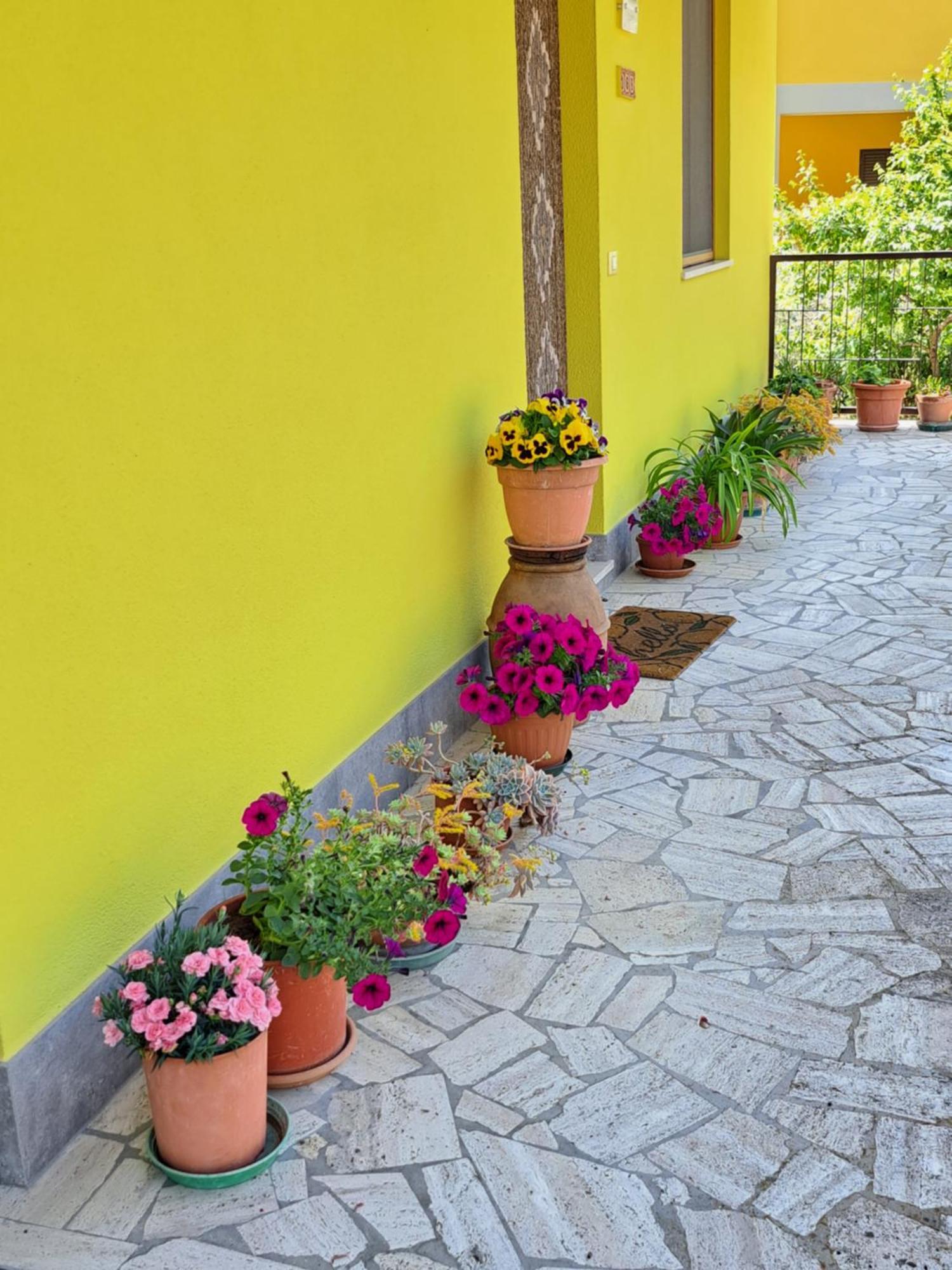 Villa Casa Gli Ulivi Montepulciano Stazione Esterno foto