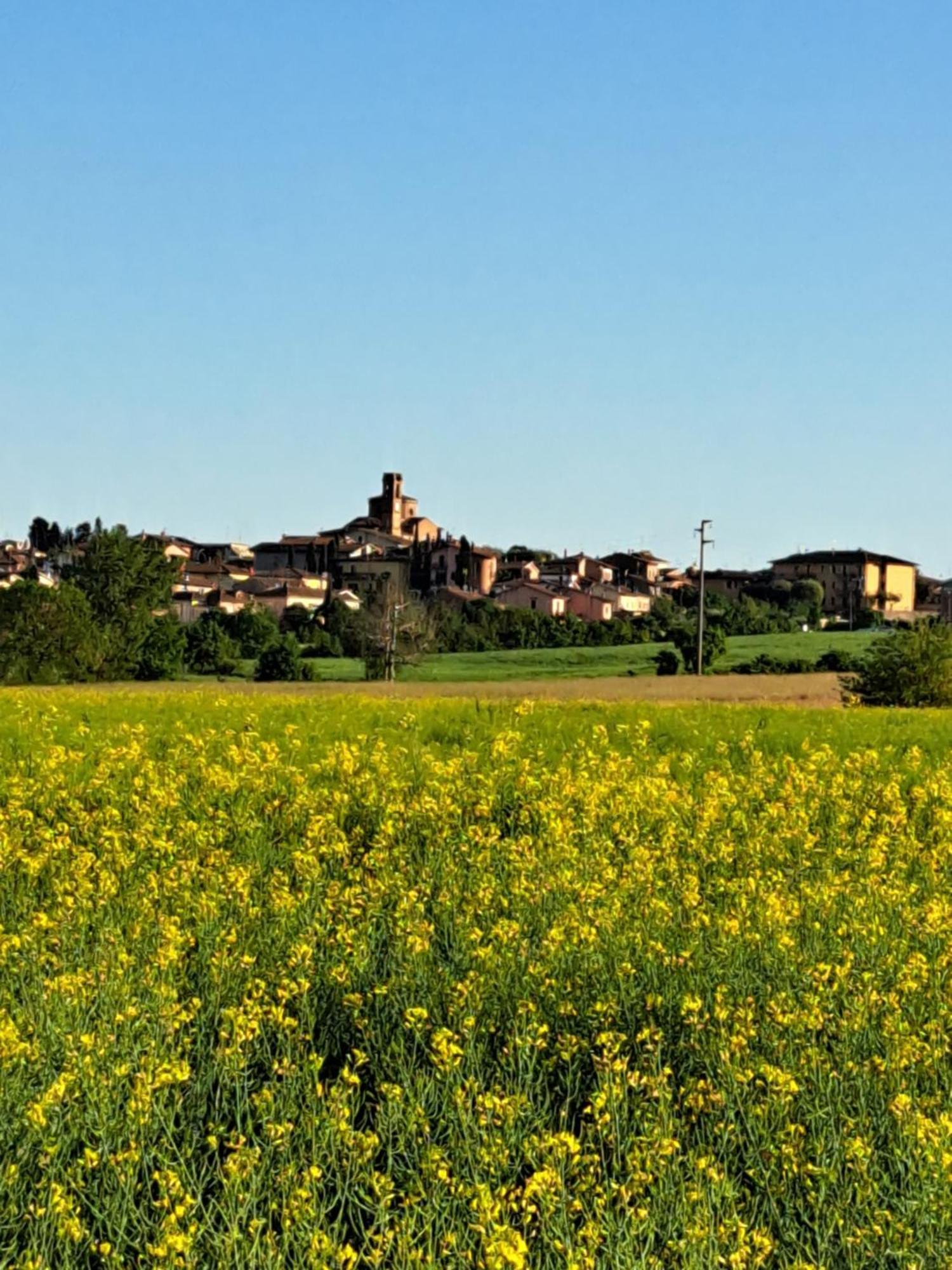 Villa Casa Gli Ulivi Montepulciano Stazione Esterno foto